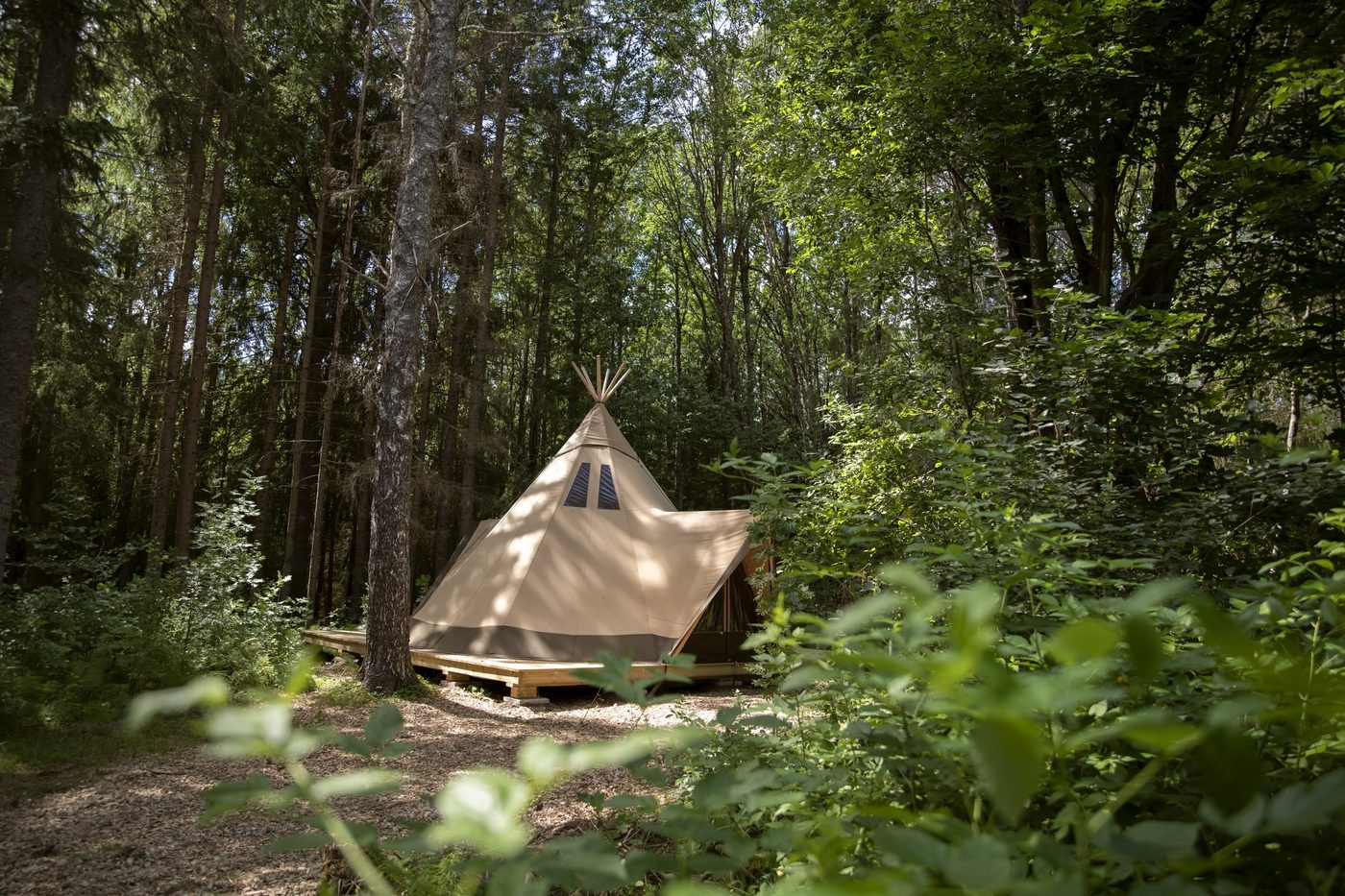 Professionally installed Beehive Tipi in woodland setting showing finished outdoor classroom