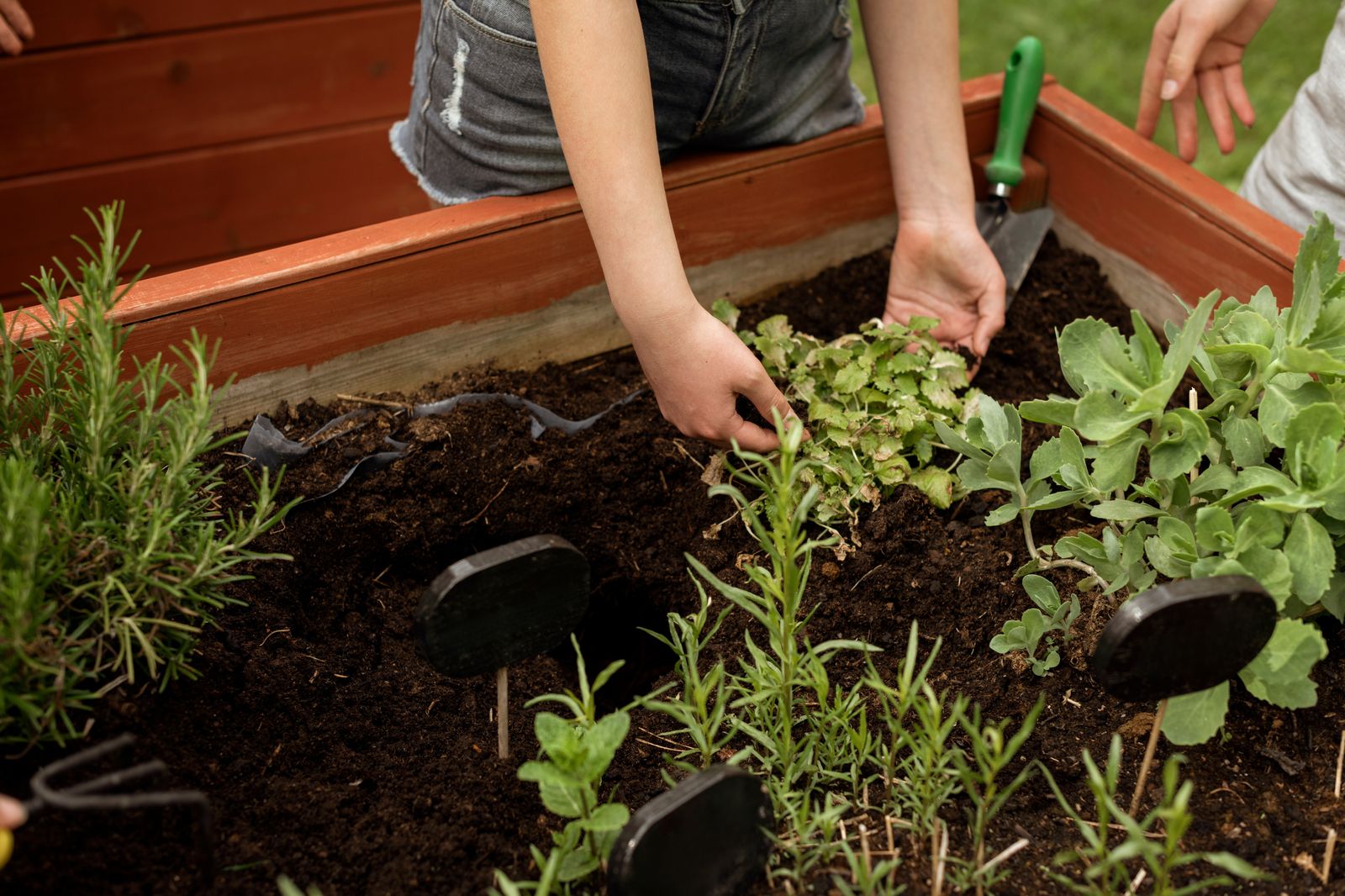 Children planting herbs in a raised garden bed at nursery outdoor learning session, hands-on nature education